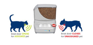 Automatic RFID Dog & Cat Feeder