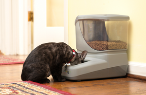 Automatic Cat & dog Feeder to Prevent and Reverse Obesity